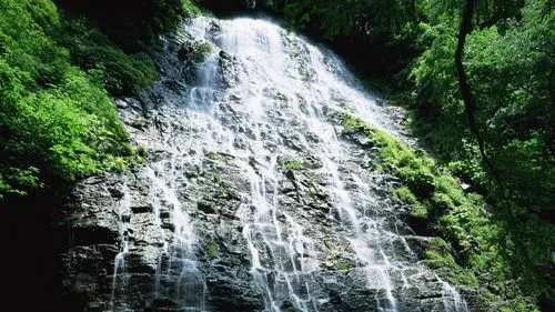 高效全自动高精度